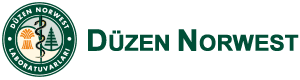 Düzen Norwest