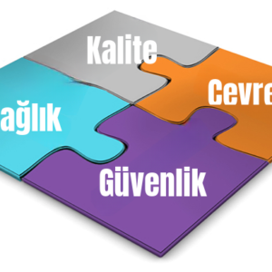 Entegre Yönetim Sistemleri Tanıtım Eğitimi